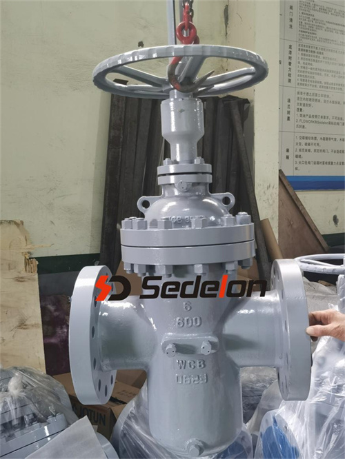 Sedelon API Through Conduit Gate Valve