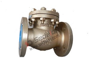 Bronze check valve